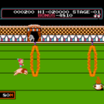 Swing Monkey